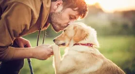 O primeiro amigo: DNA revela cães ao lado do homem há 15.800 anos