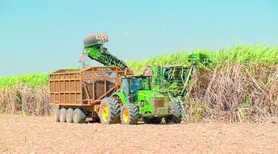 Produção de etanol cresce 16,8% na safra 2025/2026 em Alagoas