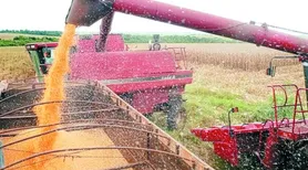 Safra de grãos 2025/2026 pode bater recorde histórico de 356,3 milhões de toneladas