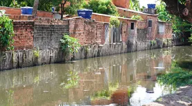 Secretaria de Saúde alerta para riscos de leptospirose com o início do período de chuvas em Alagoas