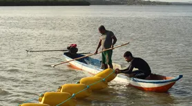 Técnica inovadora para coleta de sururu será implantada em Alagoas