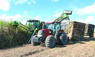 Safra de cana chega ao fim em Alagoas com recorde de etanol na Porto Rico