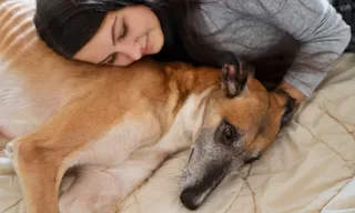 Seu pet dorme na mesma cama que você? Entenda quando evitar o hábito