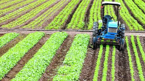 Crédito rural empresarial cresce 10% e atinge R$ 404 bilhões no Plano Safra 2025/2026 - Imagem