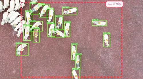 Drones e inteligência artificial ajudam a definir momento ideal de abate do gado - Imagem