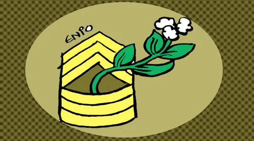 Embaixada brasileira usa Starlink para driblar apagão de internet no Irã - Imagem