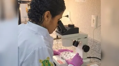 Mais da metade dos alunos abandona graduação em Alagoas - Imagem