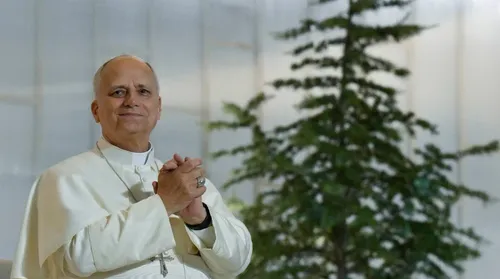 Papa alerta para ‘tirania majoritária’ em democracias - Imagem