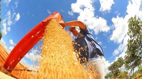 PIB cresce 0,6% em fevereiro e atinge patamar recorde, diz BC - Imagem