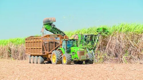 Produção de etanol cresce 16,8% na safra 2025/2026 em Alagoas - Imagem