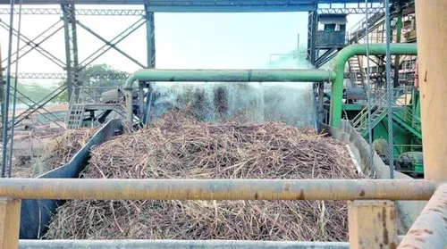 Produção nacional de cana chega a 673,2 milhões de toneladas na safra 2025/2026 - Imagem