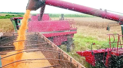 Safra de grãos 2025/2026 pode bater recorde histórico de 356,3 milhões de toneladas - Imagem