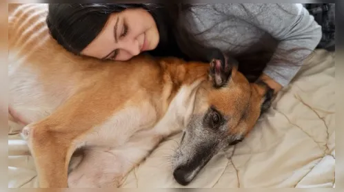 Seu pet dorme na mesma cama que você? Entenda quando evitar o hábito - Imagem