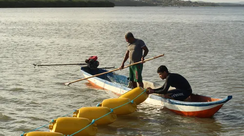 Técnica inovadora para coleta de sururu será implantada em Alagoas - Imagem