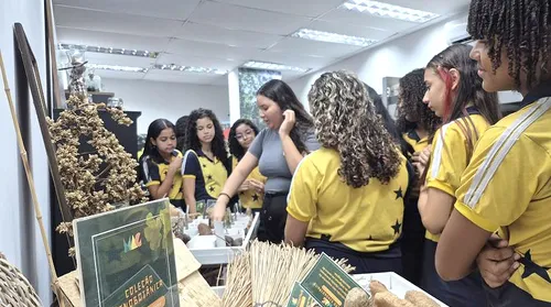Visita ao Herbário MAC estimula interesse de estudantes na flora alagoana - Imagem