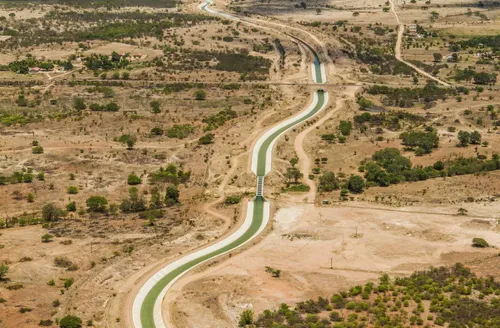 Caatinga enfrenta pressão de pasto, energia e desmatamento em Alagoas