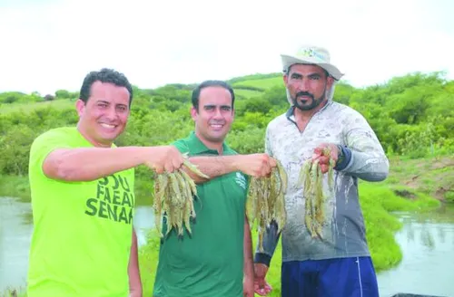 Carcinicultura avança em Alagoas e consolida cadeia produtiva