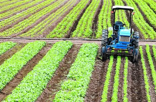 Crédito rural empresarial cresce 10% e atinge R$ 404 bilhões no Plano Safra 2025/2026