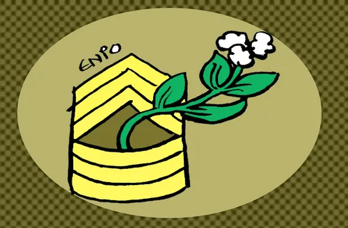 Embaixada brasileira usa Starlink para driblar apagão de internet no Irã