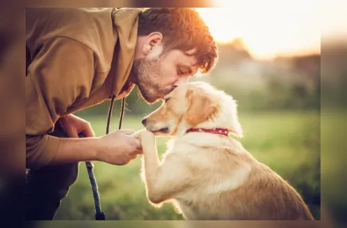 O primeiro amigo: DNA revela cães ao lado do homem há 15.800 anos