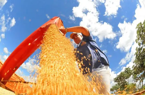 PIB cresce 0,6% em fevereiro e atinge patamar recorde, diz BC