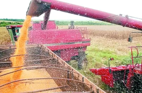 Safra de grãos 2025/2026 pode bater recorde histórico de 356,3 milhões de toneladas