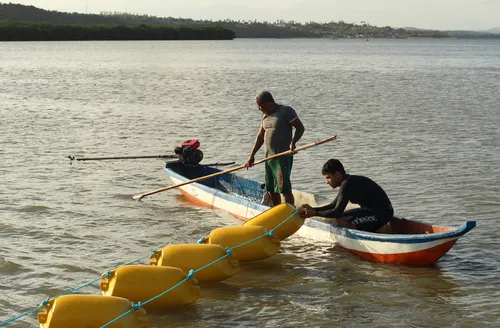 Técnica inovadora para coleta de sururu será implantada em Alagoas
