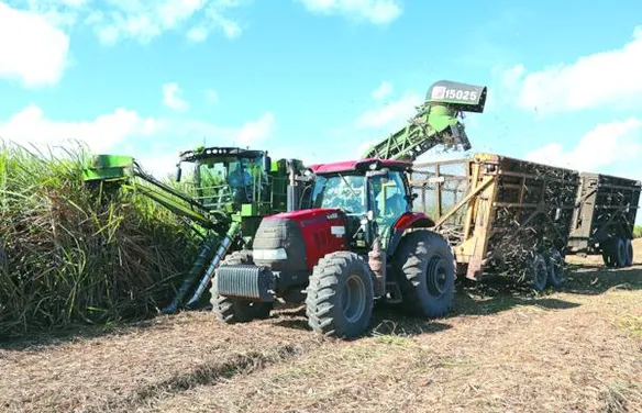 Safra de cana chega ao fim em Alagoas com recorde de etanol na Porto Rico