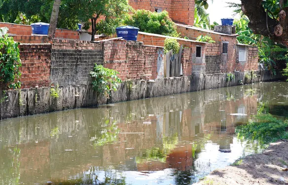 Secretaria de Saúde alerta para riscos de leptospirose com o início do período de chuvas em Alagoas
