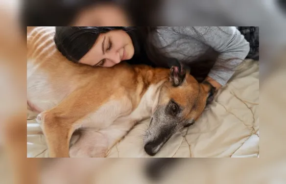 Seu pet dorme na mesma cama que você? Entenda quando evitar o hábito