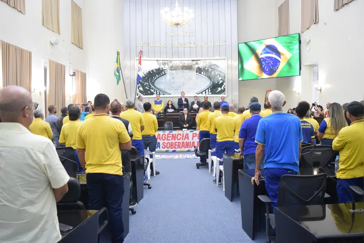 Imagem ilustrativa da imagem ALE: debate destaca papel social dos Correios e preocupação com fechamento de agências