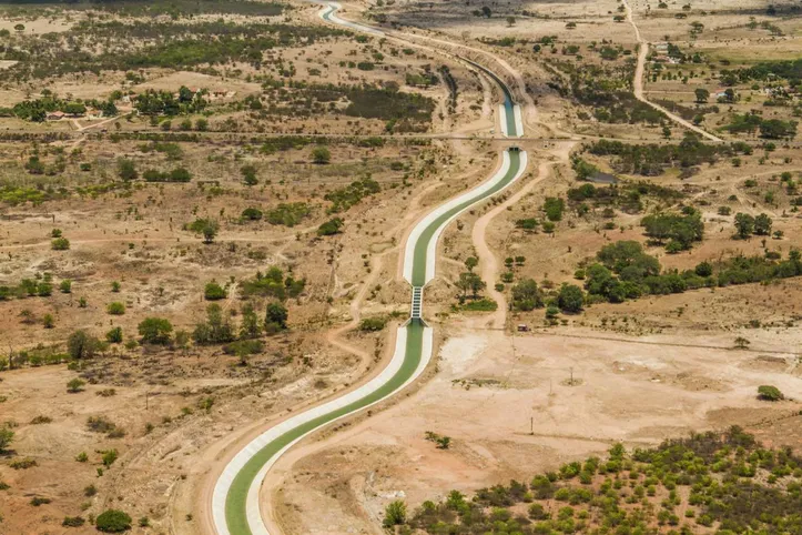 Caatinga se estende entre o alto Sertão, médio Sertão, bacia leiteira e áreas do Agreste