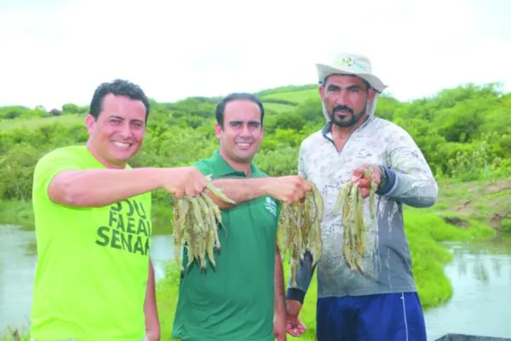 No Agreste alagoano, a carcinicultura ganha escala com apoio técnico e organização produtiva