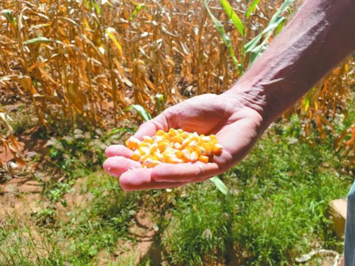 Mais de R$ 30 milhões atenderão projetos da agricultura familiar em todo o país, enquanto R$ 5 milhões serão destinados aos bancos de sementes