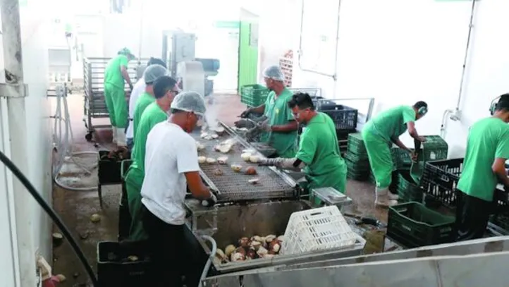 Fábrica da Coopaq gera 162 empregos diretos nas áreas administrativa e industrial