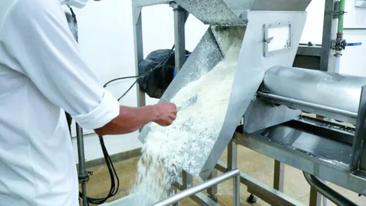 Imagem ilustrativa da imagem Coopaq amplia produção e fortalece cadeia do coco no Litoral Norte