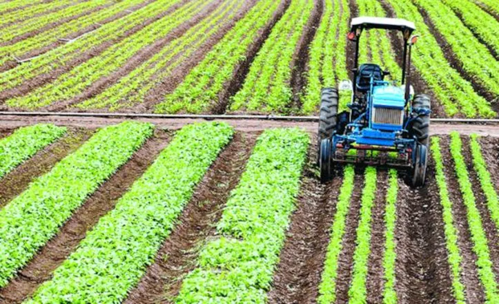 A industrialização registrou o maior crescimento proporcional, com alta de 74% nas contratações, alcançando R$ 28,1 bilhões