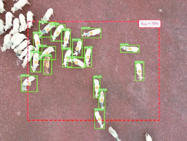 Tecnologia usa drones e inteligência artificial para monitorar crescimento dos bovinos e indicar melhor momento para venda ou abate