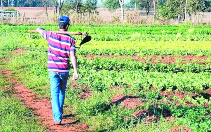 Ao todo, as famílias passaram a ser donas de mais de 90 mil hectares
