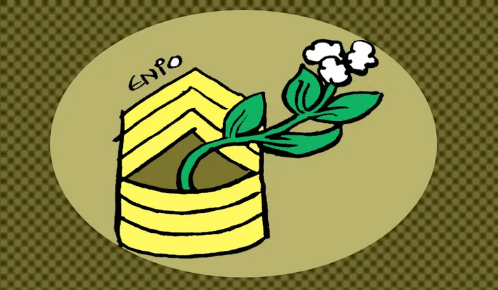 Imagem ilustrativa da imagem Embaixada brasileira usa Starlink para driblar apagão de internet no Irã