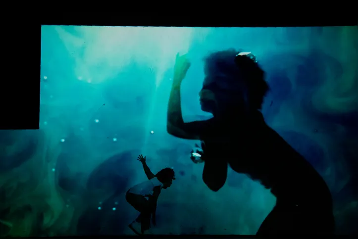 Imagem ilustrativa da imagem Joelma Ferreira leva dança alagoana à mostra inspirada em Ana Botafogo
