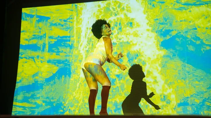 Imagem ilustrativa da imagem Joelma Ferreira leva dança alagoana à mostra inspirada em Ana Botafogo