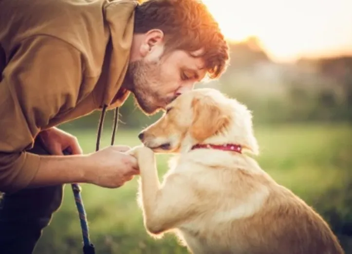 Imagem ilustrativa da imagem O primeiro amigo: DNA revela cães ao lado do homem há 15.800 anos