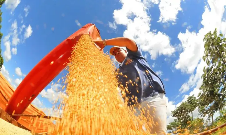 Agropecuária do País cresceu quase 10% nos 12 meses, aponta BC