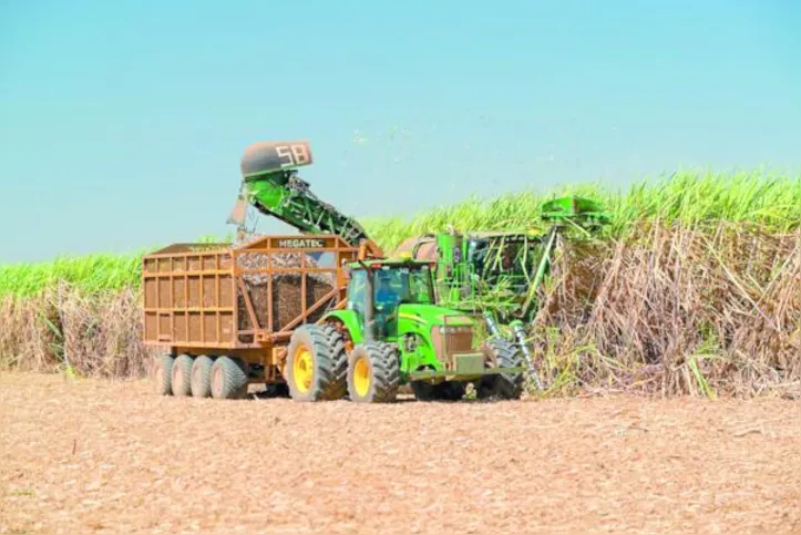 Das mais de 17,6 milhões de toneladas de cana processadas no ciclo atual, mais de 2,9 milhões foram destinadas à produção de etanol