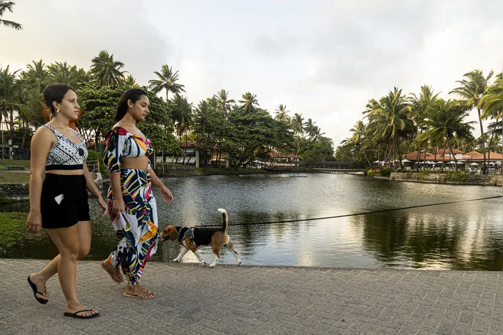 Discussão acelerada do Plano Diretor põe em risco ecossistemas como o da Lagoa da Anta, em Jatiúca