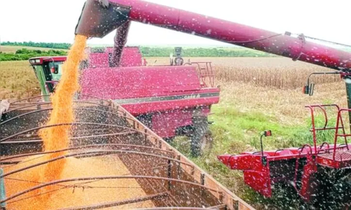 Soja segue como destaque, com previsão de nova safra recorde de 179,2 milhões de toneladas