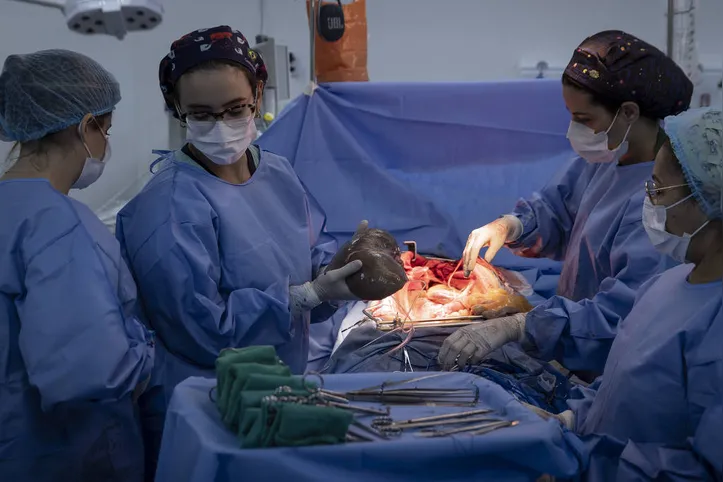 Lista de espera por um órgão continua crescendo e chegou a 73.877 pacientes em dezembro de 2025