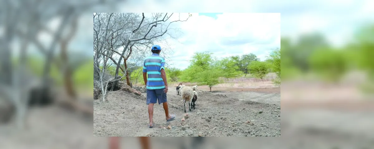 El Niño deve provocar escassez de chuvas em Alagoas