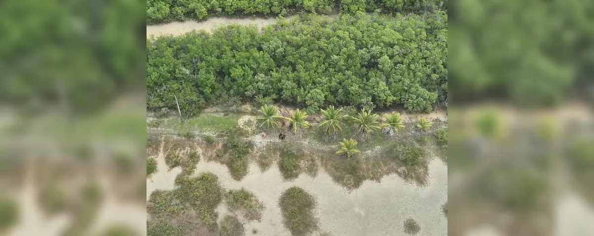 Polícia Civil localiza dois corpos na zona rural de Coruripe e investiga cemitério clandestino na região